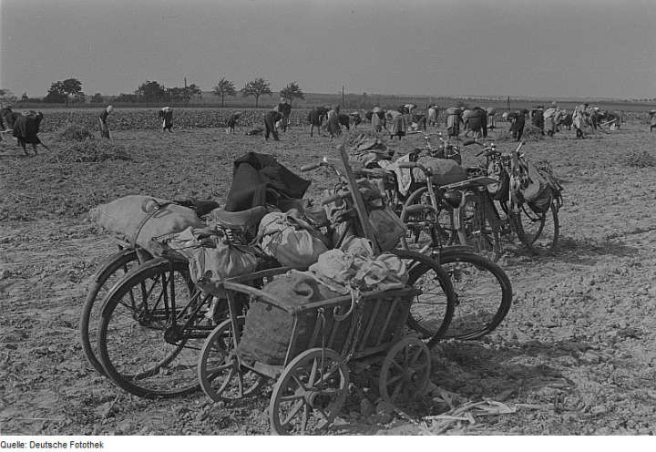 Stoppeln 1948