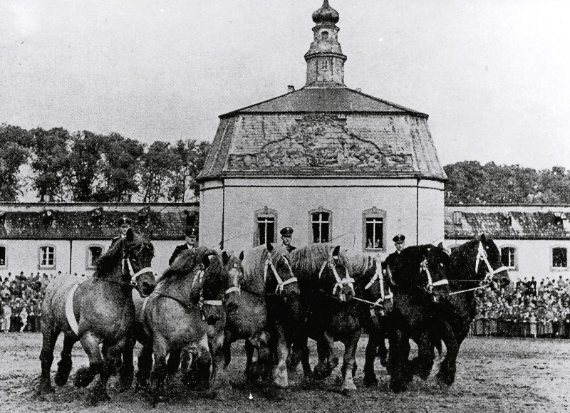 1950 – Parade „110 Jahre Landgestüt Wickrath“
