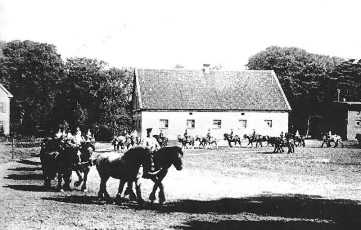Morgenarbeit auf dem Reitplatz der „Ewigkeit“