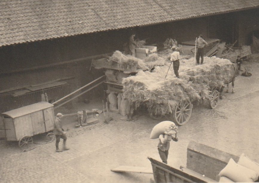 Dreschen des auf dem Hof das ankommenden Getreides