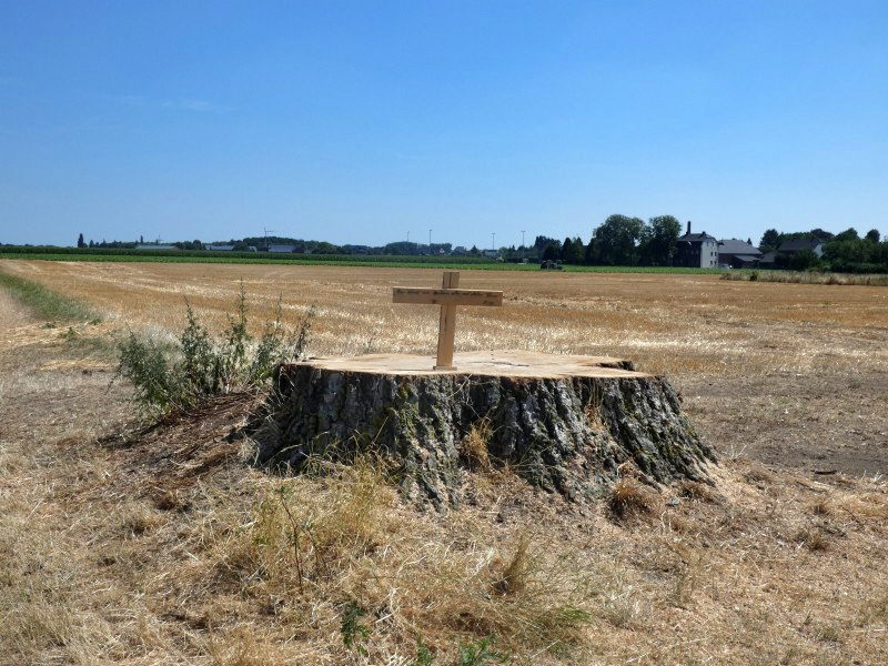 Baumstumpf mit Kreuz
