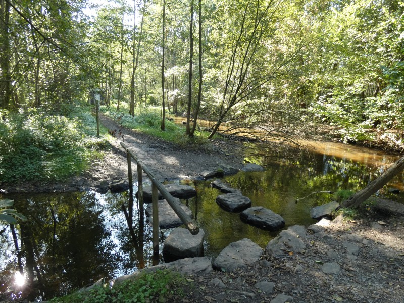 Zusammenfluss des Mühlenbaches mit der Schwalm.