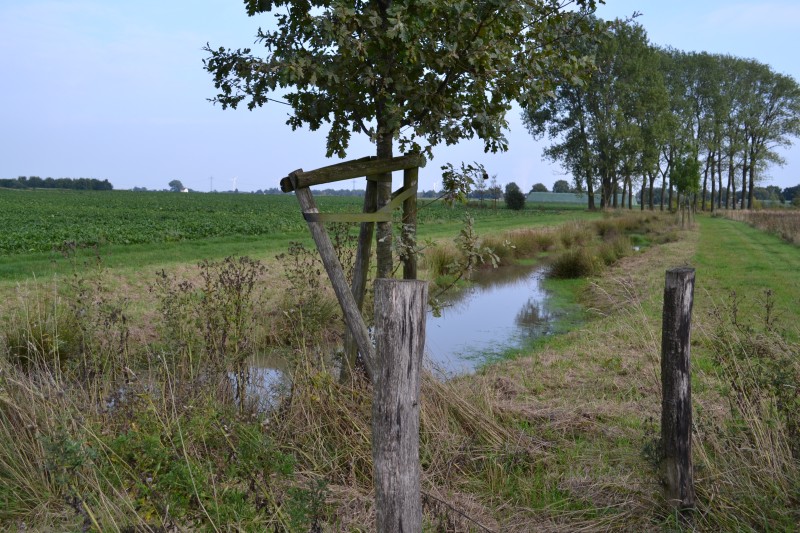 Fortlauf des Mühlenbachs
