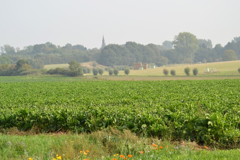 Borschemich aus der Ferne