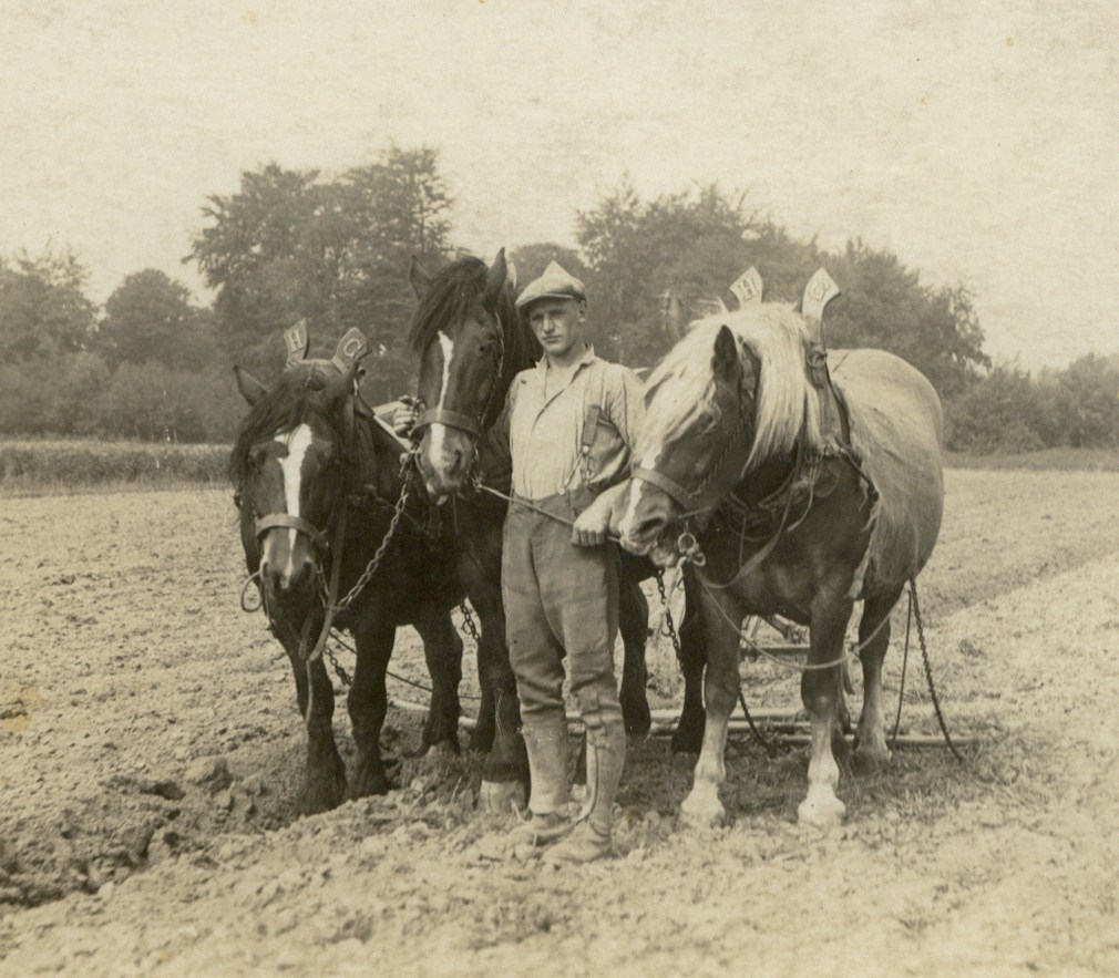 3 Pferde als Gespann, das hatten die wenigsten Bauern  (Foto: Archiv Eduard Allwicher)