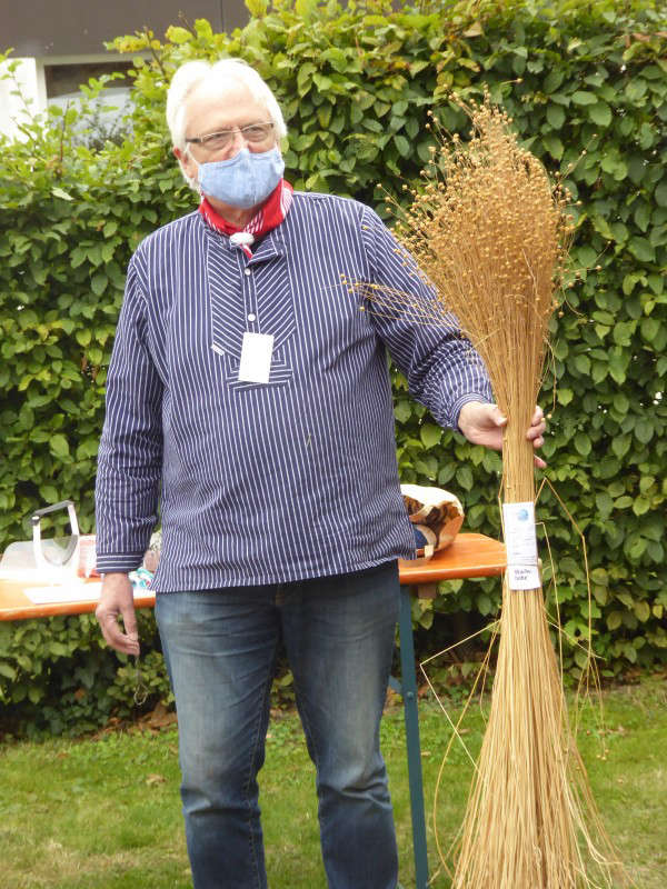 Flachsbund, der wegen seiner Wuchshöhe prämiert wurde.