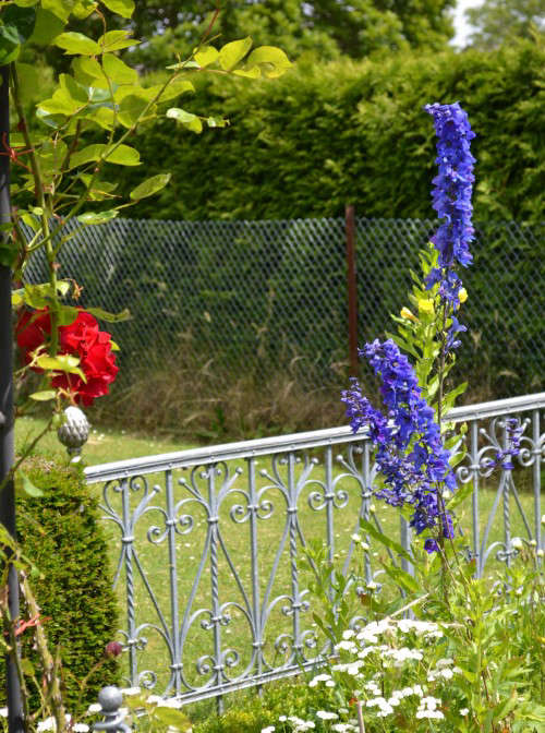 Diesen Garten findet man am Flachsmuseum in Wegberg-Beeck – eine Anregung für Kräutersammler 