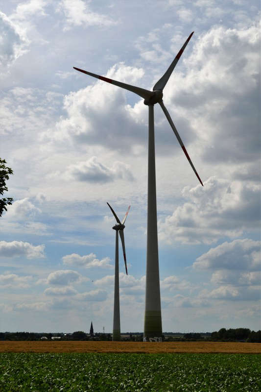 Windräder (Foto: Werner Marx)