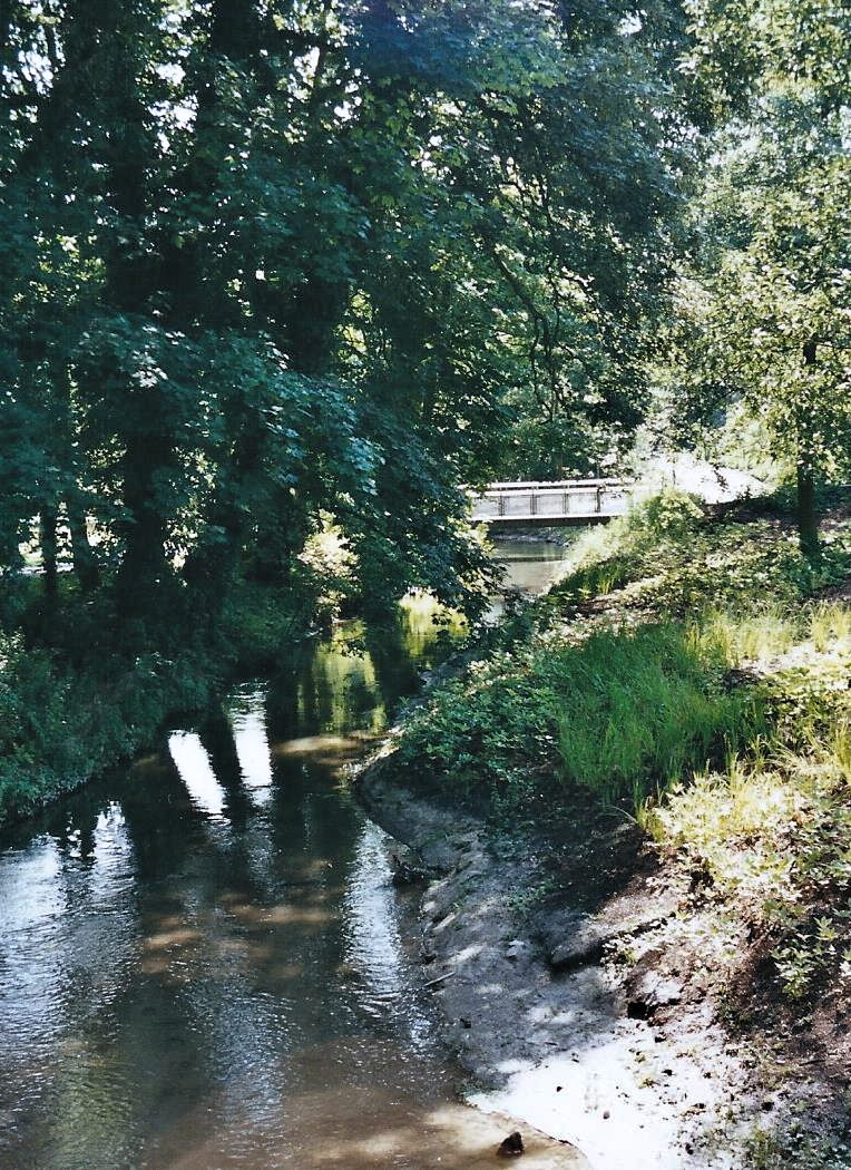 Niers in neuem, alten Bett