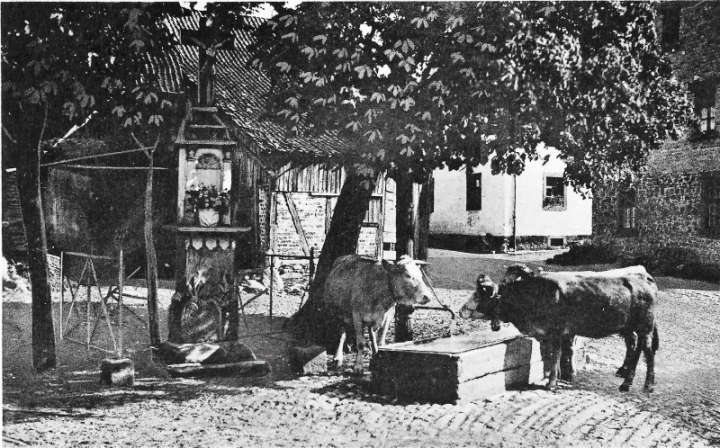 Lammersdorf, alte Postkarte