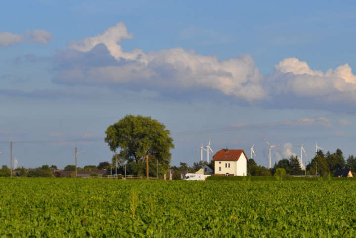 Windräder am Horizont